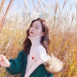 365在线手机app下载